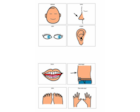 Dr. Jean Alphardy Picture Chart