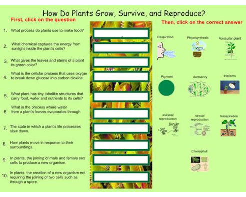 How Do Plants Grow And Reproduce - 