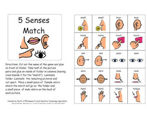 Boardmaker 5 Download